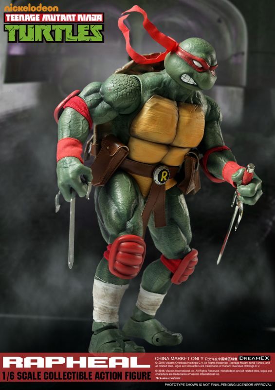 福袋 TMNT DreamEX タートルズ Casey Jones 可動フィギュア 知育玩具