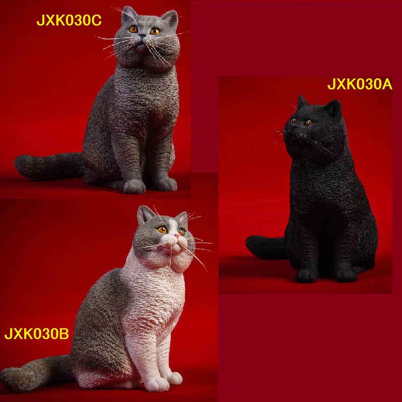 画像1: JxK.Studio 1/6  ブリティッシュショートヘア 猫 キャット 3種 JXK030 *お取り寄せ