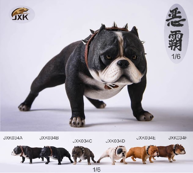 画像1: JxK Studio 1/6 アメリカンブリー ピットブル 犬 スタチュー 6種 JKX034 *お取り寄せ
