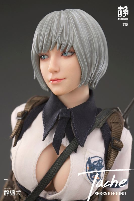 i8TOYS 1/6 タチ Tache 501S612-S アクションフィギュア セリーン