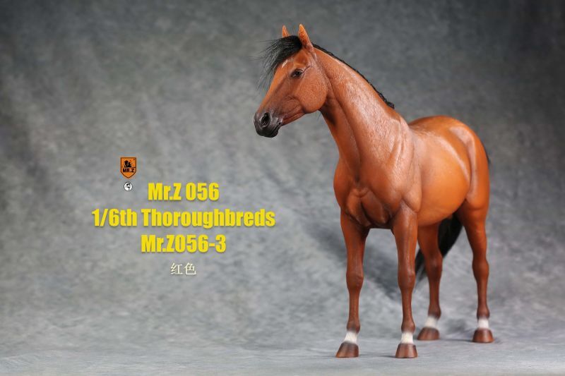 Mr.Z 1/6 馬 サラブレッド フィギュア 5種 MRZ056