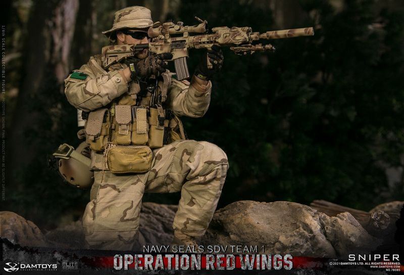Damtoys 1 6 米海軍特殊部隊 ネイビーシールズ Sdvチーム1 スナイパー レッド ウィング作戦 In アフガニスタン アクションフィギュア Operation Red Wings Navy Seals Sdv Team 1 Sniper