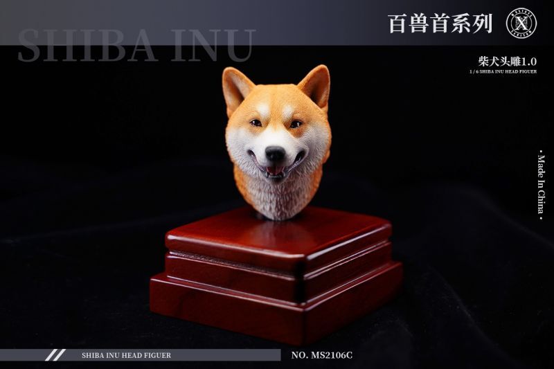 Mostoys MS2106 1/6 柴犬 ヘッド 3種 アクションフィギュア用 Shiba 