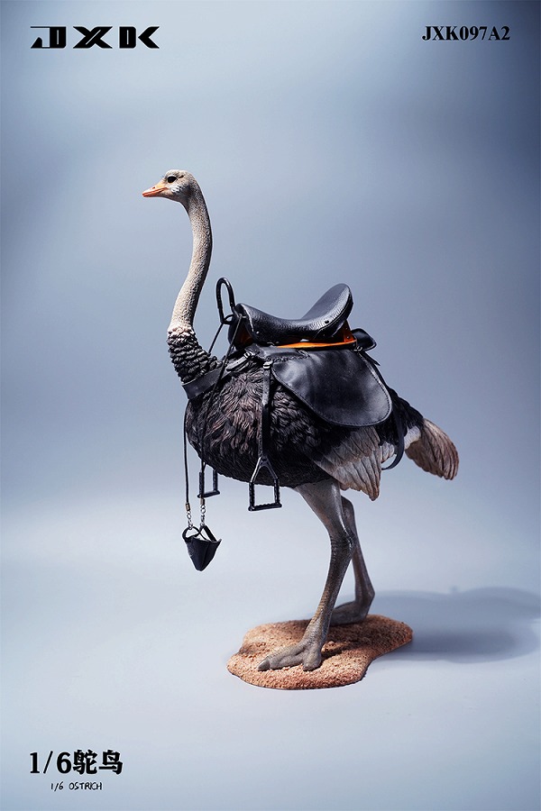 JxK Studio 1/6 JXK097 ダチョウ Ostrich 4種 ダチョウ オストリッチ