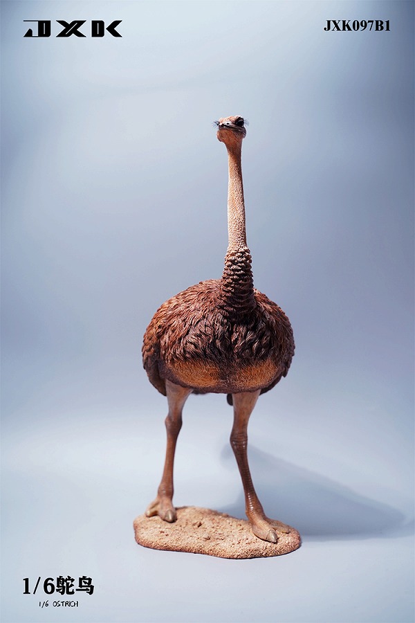 JxK Studio 1/6 JXK097 ダチョウ Ostrich 4種 ダチョウ オストリッチ