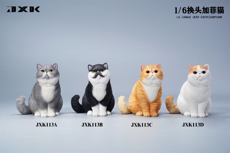 JxK Studio 1/6 エキゾチックショートヘア 猫 替えヘッド 4種 JXK113 