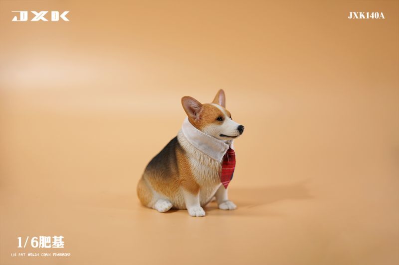 JxK Studio JXK140 1/6 ぽっちゃりコーギー犬 ウェルシュ・コーギー