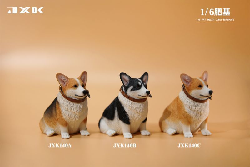 JxK Studio JXK140 1/6 ぽっちゃりコーギー犬 ウェルシュ・コーギー 