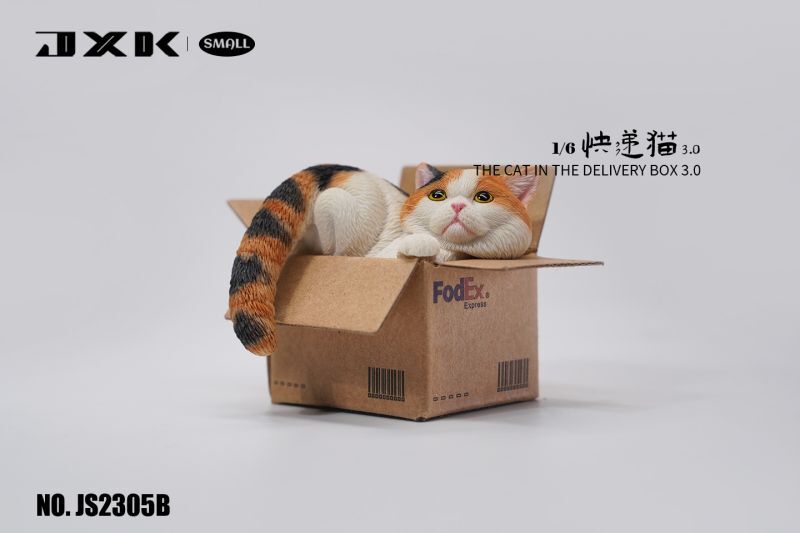 JxK Studio 1/6 段ボールに収まる猫 3.0 JS2305 A B C D スモール 猫