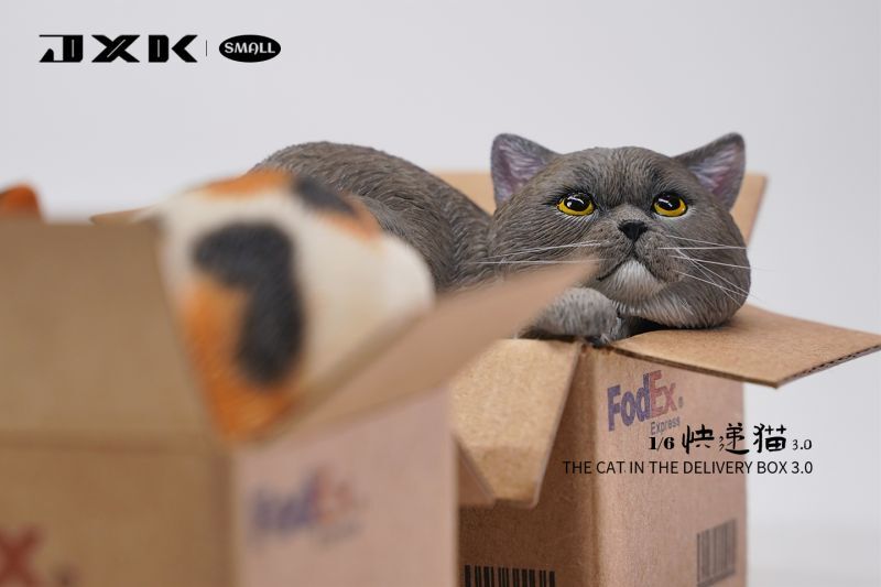 画像1: JxK Studio 1/6 段ボールに収まる猫 3.0 4種 JS2305 *予約