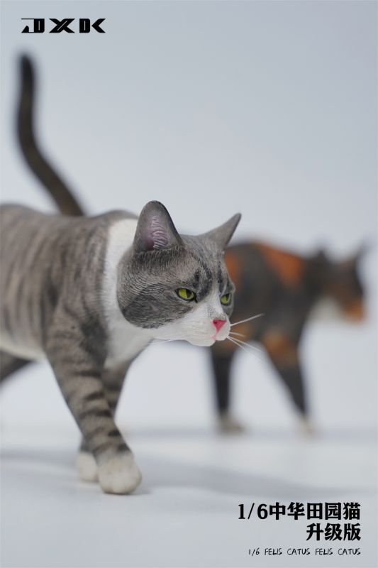 JxK Studio JXK176 1/6 ネコ 散歩猫 猫 Felis Catus キャット cat 5種 