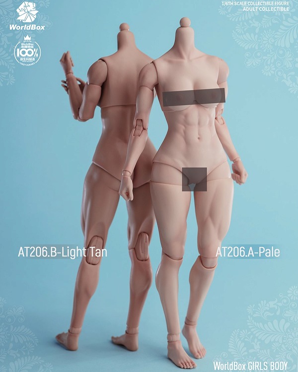 WORLD BOX 1/6 女性素体 ≪筋肉体型≫ アクションフィギュア 2種 AT206 