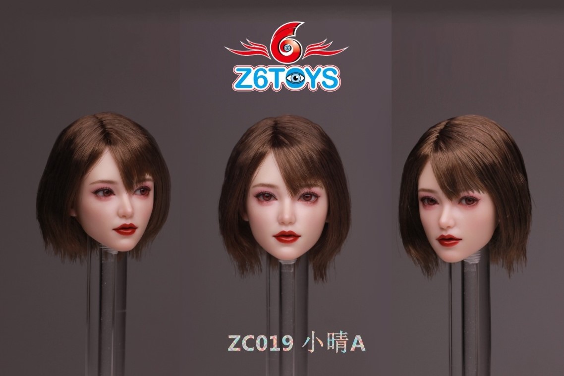 Z6TOYS 1/6 アジアン ビューティー 女性ヘッド ZC019 眼球可動