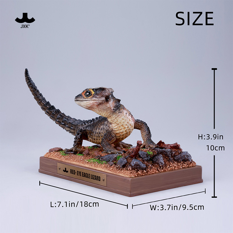 カンナ　クレオパトラ とシュトゥットガルト(小さい株のセット売り) 楽天市場】カンナ 'シュトゥットガルト' : おぎはら植物園